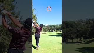 タイガー・ウッズのスーパーショットやってみました⛳️  #shorts #tigerwoods #golf #golfswing #golfer  #golfshorts