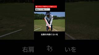 骨格に合わせた正しいグリップは右手も左手も並行になります #片山晋呉 #golf #ゴルフ #shorts